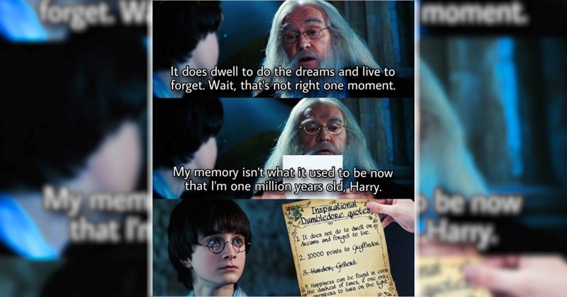 22 Harry Potter Memes for a Magical Moment in the Forbidden Forest