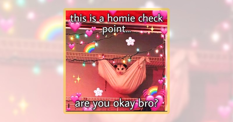 22 opossum memes | thumbnail includes one meme including 'this is a homie check point... are you okay bro?'