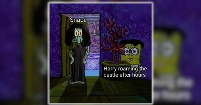 23 Harry Potter Memes to Scroll Through as You Celebrate Harry’s Birthday