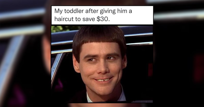 25 Hilarious Dad Memes for Wholesome Fathers Flexing Their Funny Bone