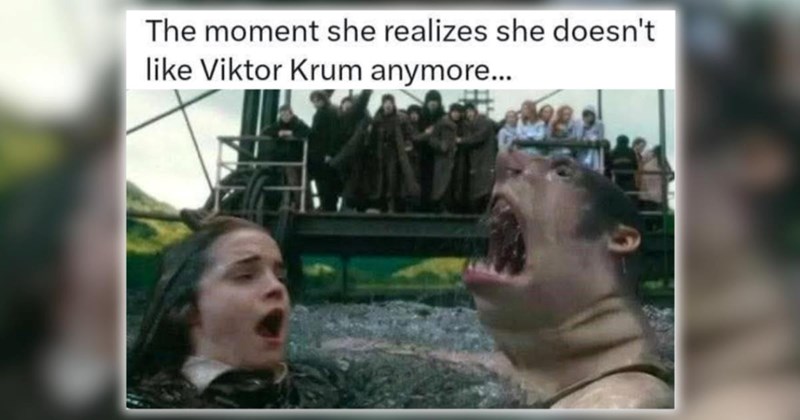 26 Harry Potter Memes to Enjoy While Lounging in the Cozy Gryffindor Common Room (April 17, 2025)