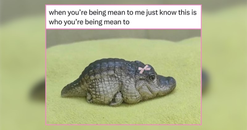 26 Innocent Animals Simply Being Their Wholesome Selves