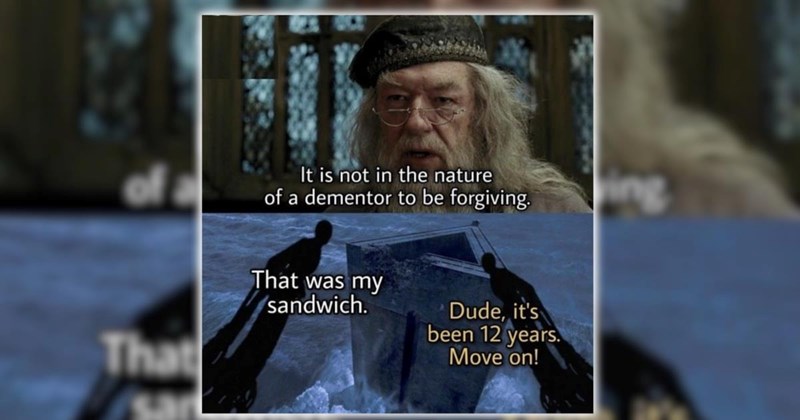 27 Harry Potter Memes for a Magical Moment in the Forbidden Forest