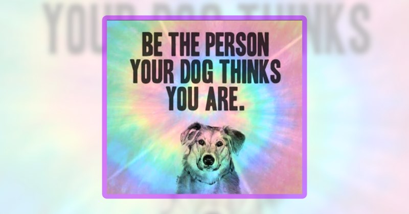 29 dog memes | thumbnail included one meme including 'BE THE PERSON YOUR DOG THINKS YOU ARE.'