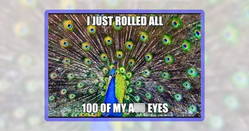 30 animal memes | thumbanil includes one meme including 'I JUST ROLLED ALL 100 OF MY A** EYES'