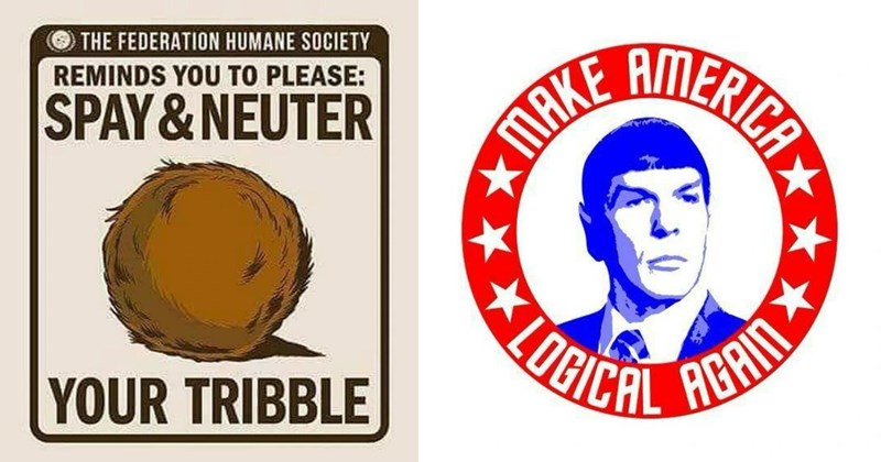 37 memes about star trek | thumbnail includes two pictures of star trek memes