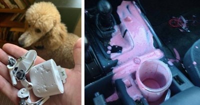 People Whose Day Can't Get Worse