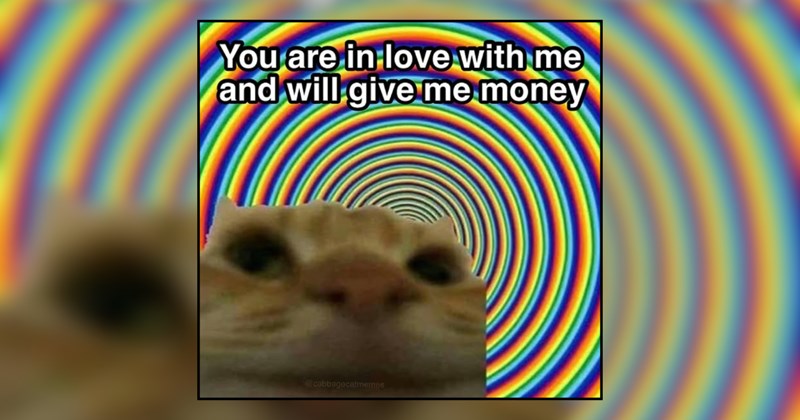 A Cosmic Collection of Cats Dissociated and Floating in Space