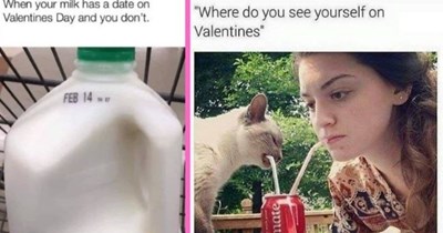 Valentines Day Memes For The Single Ladies