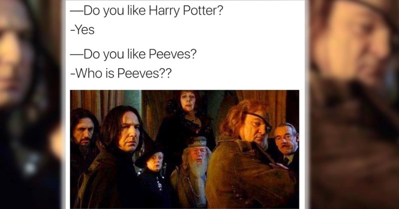 A Forbidden Forest Filled with Magical Harry Potter Memes to Explore