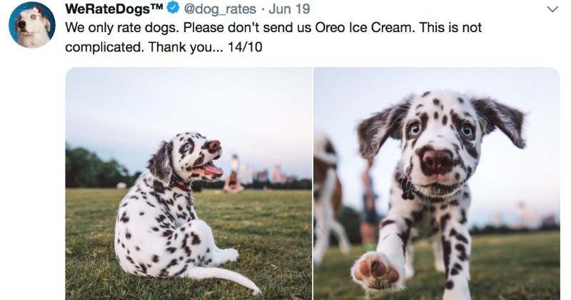adorable ratings for dogs from the twitter account We Rate Dogs