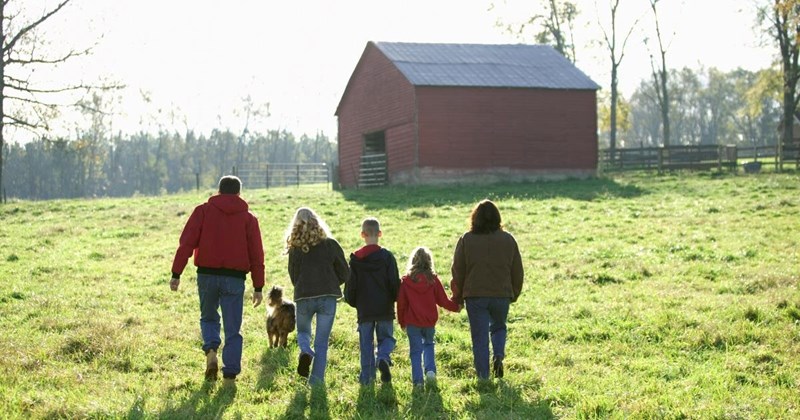 Parents leave farm to grandchildren instead of daughter after her husband declares his plans to sell, ignoring their wishes to keep it in the family