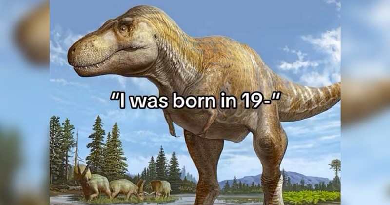 aging, age, millennials, gen z, tiktok, twitter, social media, old people, boomers, economy, plastic surgery