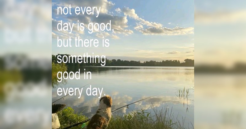 wholesome, wholesome memes, good, nice, tweets, cats, dogs, animals, animal memes, cats, dogs, love, relationships, friendship, family, memes, funny, funny memes, positivity