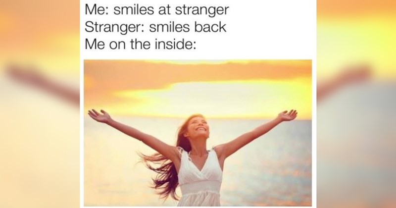 wholesome memes, wholesome, nice, good, positivity, animals, animal memes, cats, dogs, tweets, tumblr, family, love, relationships, friendship, memes, funny, funny memes