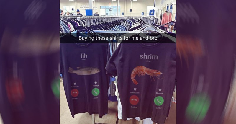 animal photos, birds, cute animal memes, bird memes, cute animals, reptiles, animal tweets, funny animal memes, animal, animal memes, funny animals, animals, frog memes, frogs