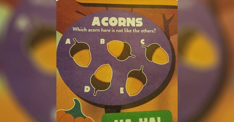 FAILS design fail sign reddit memes FAIL signs design funny memes redesign signage design fails designer bad design good design Reddit graphic design funny funny signs interior design Design - 43522821