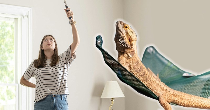 ‘I brought up banana bread and an apology’: Wholesome friendship blossoms between feuding neighbors after the real culprit of the annoyance reveals himself 