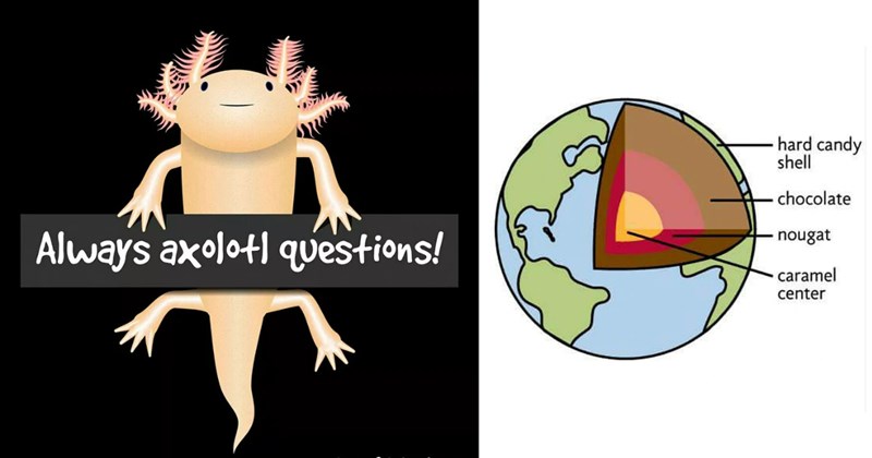 Clever memes, memes for smart people, intellectual humor memes, philosophy memes, niche memes, brainy jokes, memes you have to think about, obscure meme humor, high IQ memes, meme compatibility test,