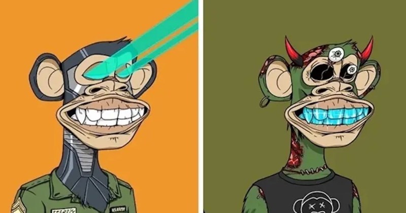 nft crash bored ape yacht club nft scam nft bubble nft market collapse nft failure nft downfall metaverse scam blockchain hype why nfts failed