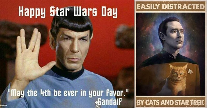 Star trek Star trek the next generation star-trek-tv-show star trek memes funny memes relatable Captain Picard klingon starship-enterprise Spock star trek fan humor memes best of the week