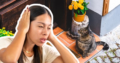 Neighbor disrespects the cat owner next door, continuing to give treats to their cat without permission, so they get revenge by letting them meow at 5 AM every day: ‘Oh, I thought you liked feeding her’