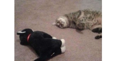 So...Come Here Often?