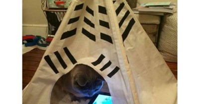 Sometimes I Wonder...