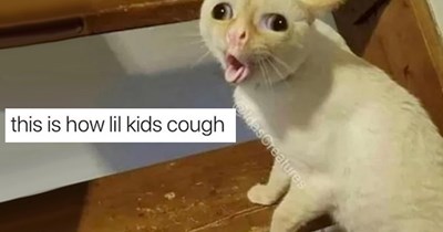The coughing cat