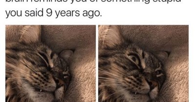 How could I be so stupid?