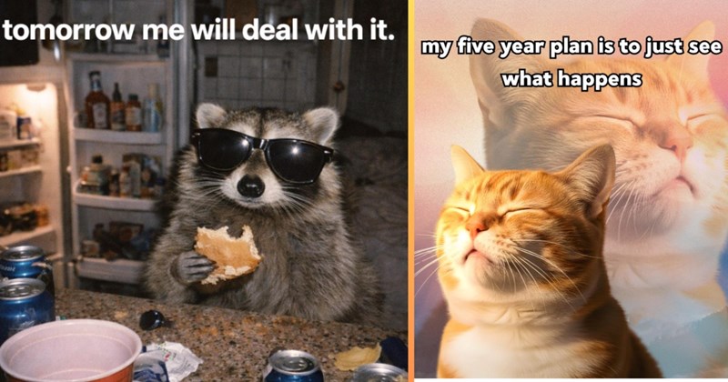 introvert memes wholesome cat animal photos relatable memes adulting cat pictures funny memes cute animals Memes adhd memes animal memes Cats funny Funny Memes - 44422661