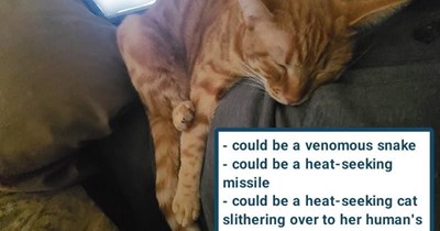 Sidewinder, definition