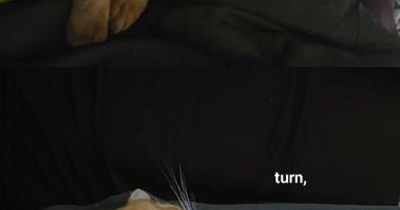 TTO "Turn, Turn, Turn" by The Byrds