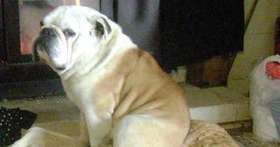 He's nowhere to be seen