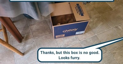 Box gone 'bad' (good, really)