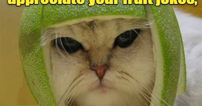 Advice to the heart of the matter.