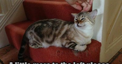 Beggars CAN be choosers!!