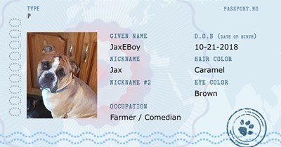 JaxEBoy