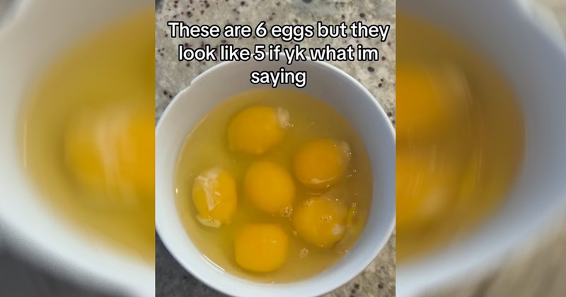 cooking, cooking memes, kitchen, chef, eating, food, food memes, gross food, breakfast, lunch, dinner, meal, snack, memes, funny, funny memes