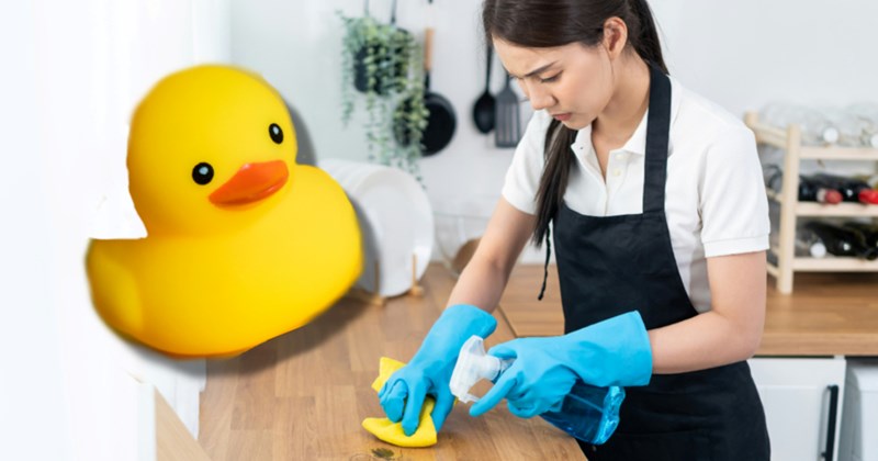 cleaning employee ducks entitled people Entitled People - 44101125