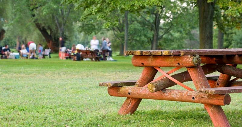 family picnic park ranger closing guests picnic fine work park workplace family entitled people Entitled People - 44077317
