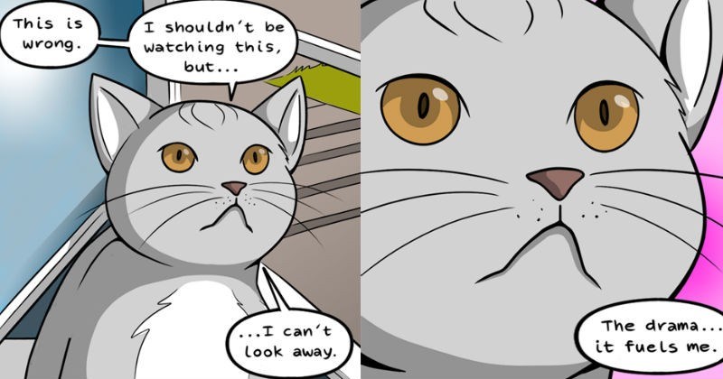 comics inspired by cat gifs
