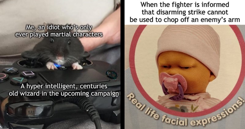 adventure dnd memes dungeons and dragons ship sea dnd character roll dice fantasy monsters sailing multiverse sci fi dungeon master couples relationships geeks Nerds