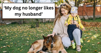 Dog dad confused when his 5-year-old dog starts disliking him after his wife has a baby, she seeks internet advice on how to mend their relationship