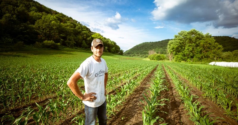 family drama brother petty revenge family feud entitled people karma farmers family brother-in-law entitled people Family - 43280133