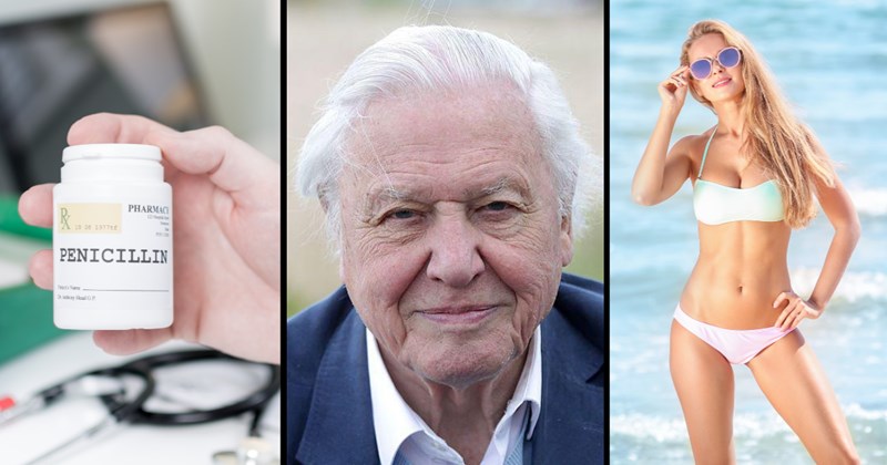 David Attenborough birthday 2025, David Attenborough is 99, surprising things younger than Attenborough, fun facts about David Attenborough, Attenborough legacy, what is David Attenborough older than