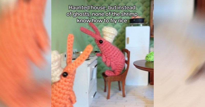  animals animal memes funny animals cute animals cute animal memes funny animal memes animal animal tweets animal photos frog memes bird memes frogs birds reptiles