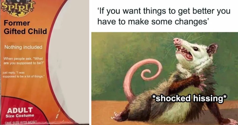 dark humor memes, relatable memes about hating people, self-deprecating humor, funny antisocial memes, memes for introverts, sarcastic memes, edgy humor memes, tired of people memes