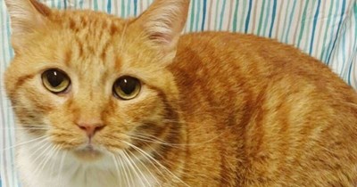 You were gone forever...