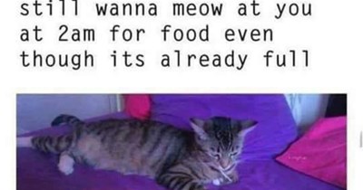 When you die but ...